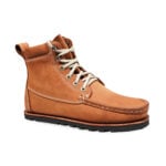 MT02Z-CAE-AM1—-Profile