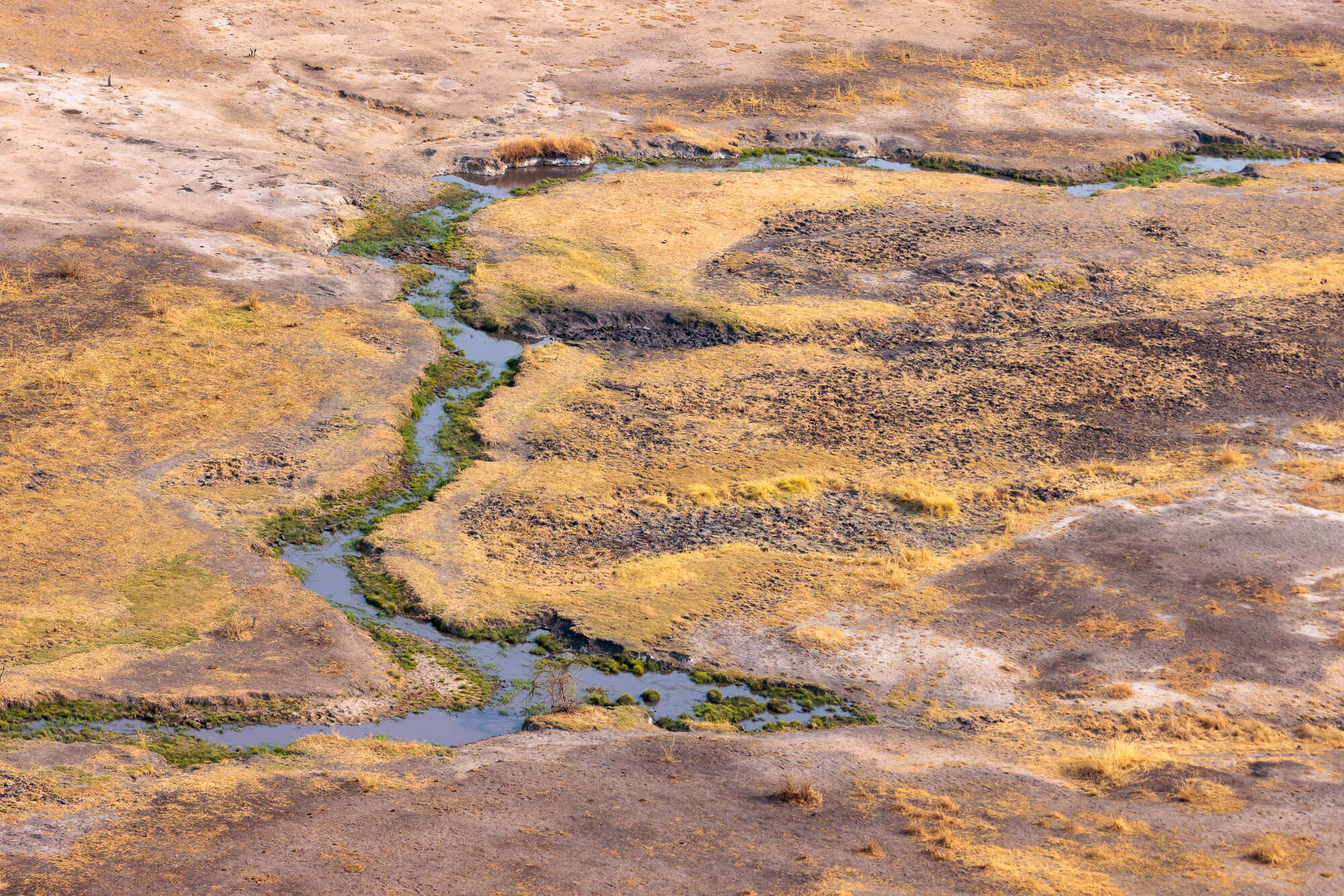 South Luangwa Valley wilderness landscape