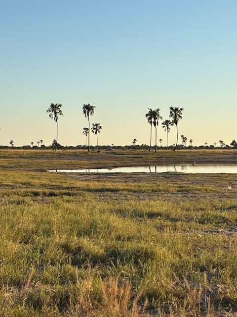 Hwange wildlife corridor landscape in Zimbabwe