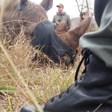 Tracker Academy: Indigenous Skills for Modern Conservation