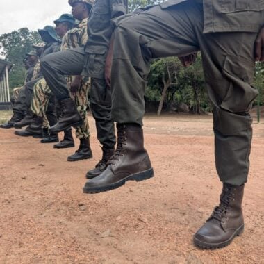 Beyond the Thornveld, inside the fight to protect North West’s wild heart