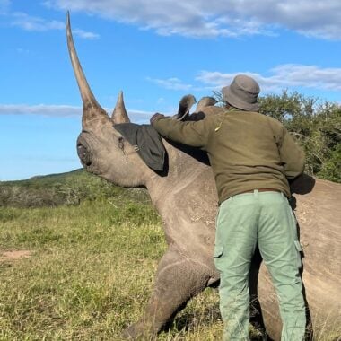 Conservation at its peak