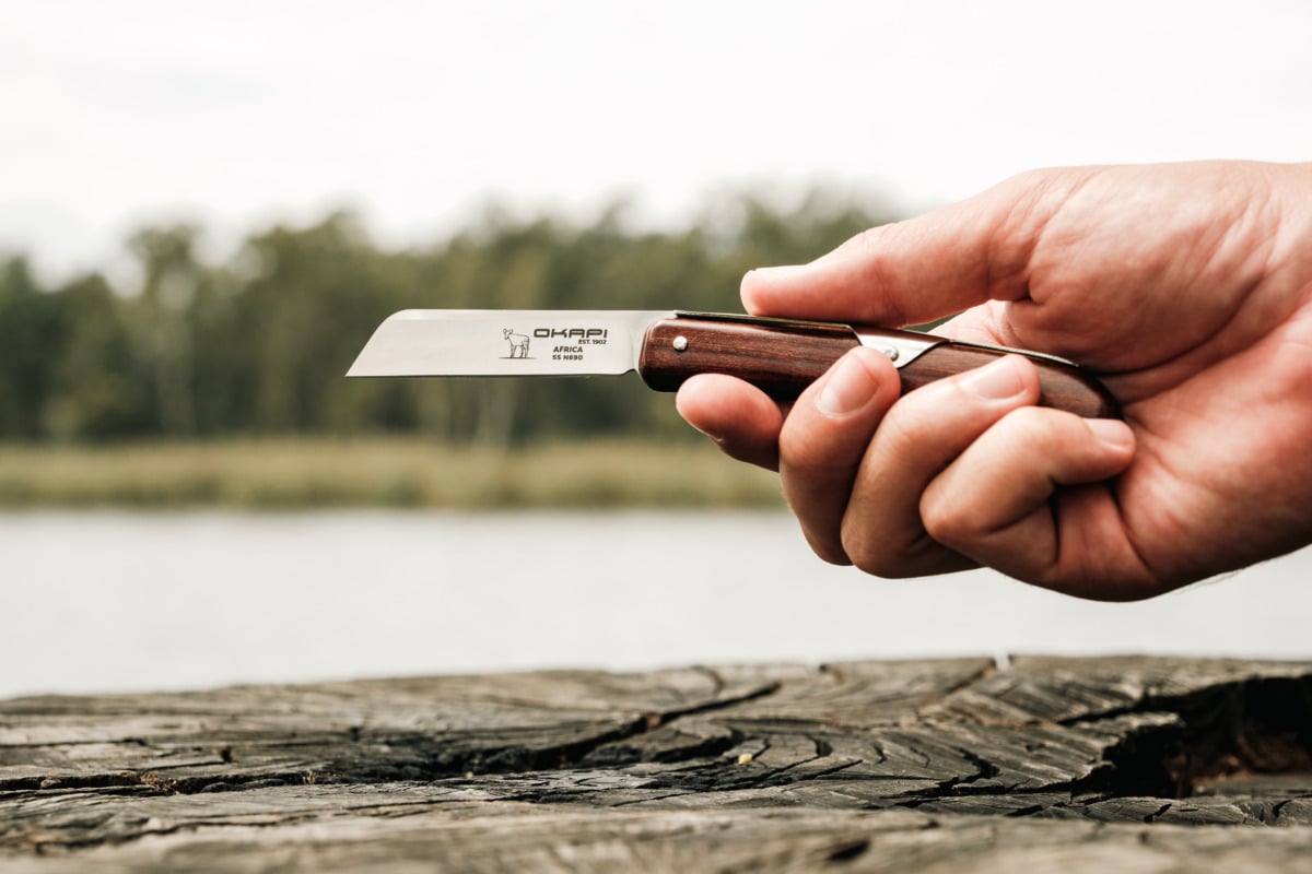 FG02590 - Biltong Knife (2)