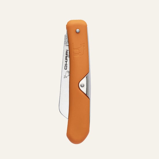 FG02592-01(1)